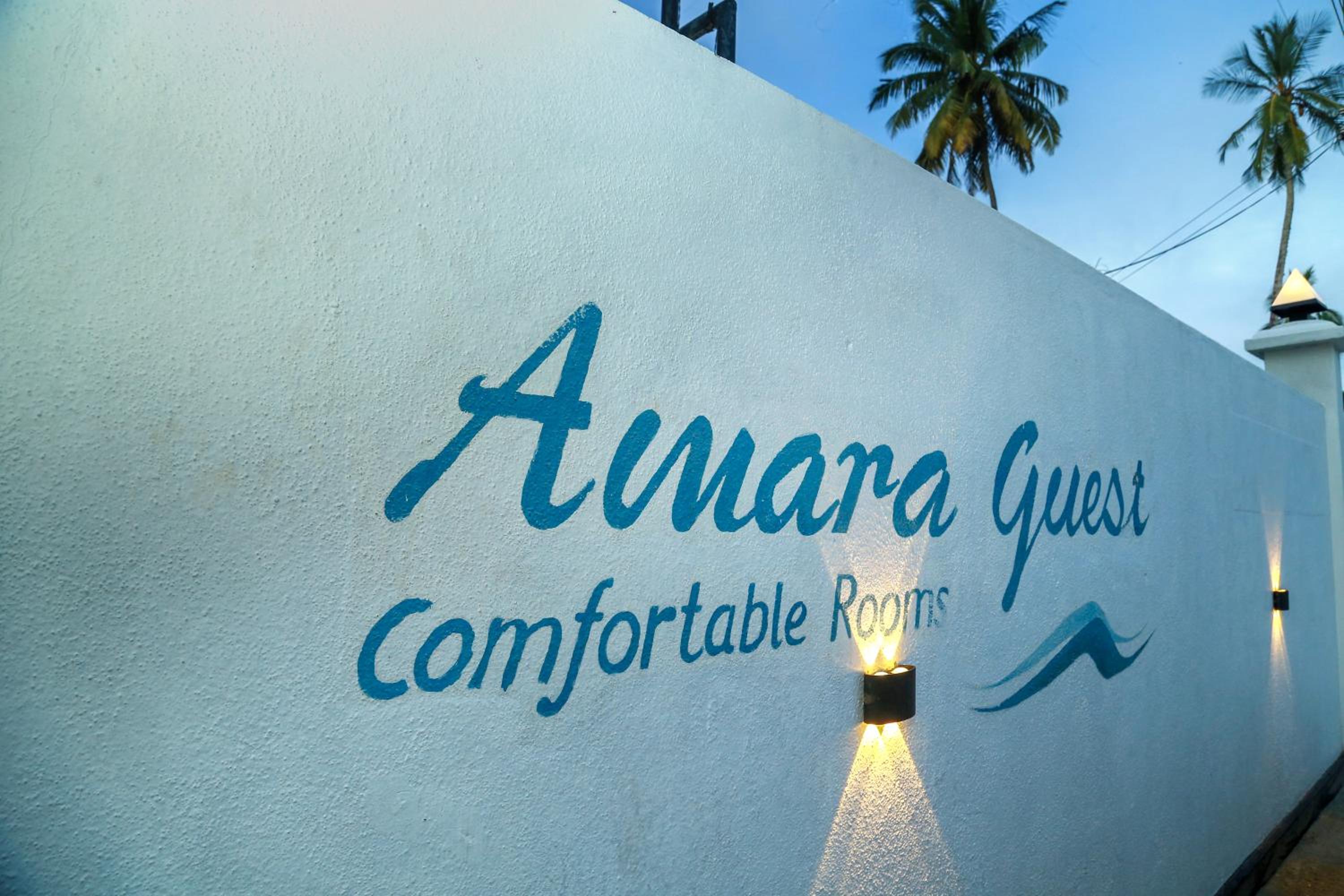 Amara Guest 3/24