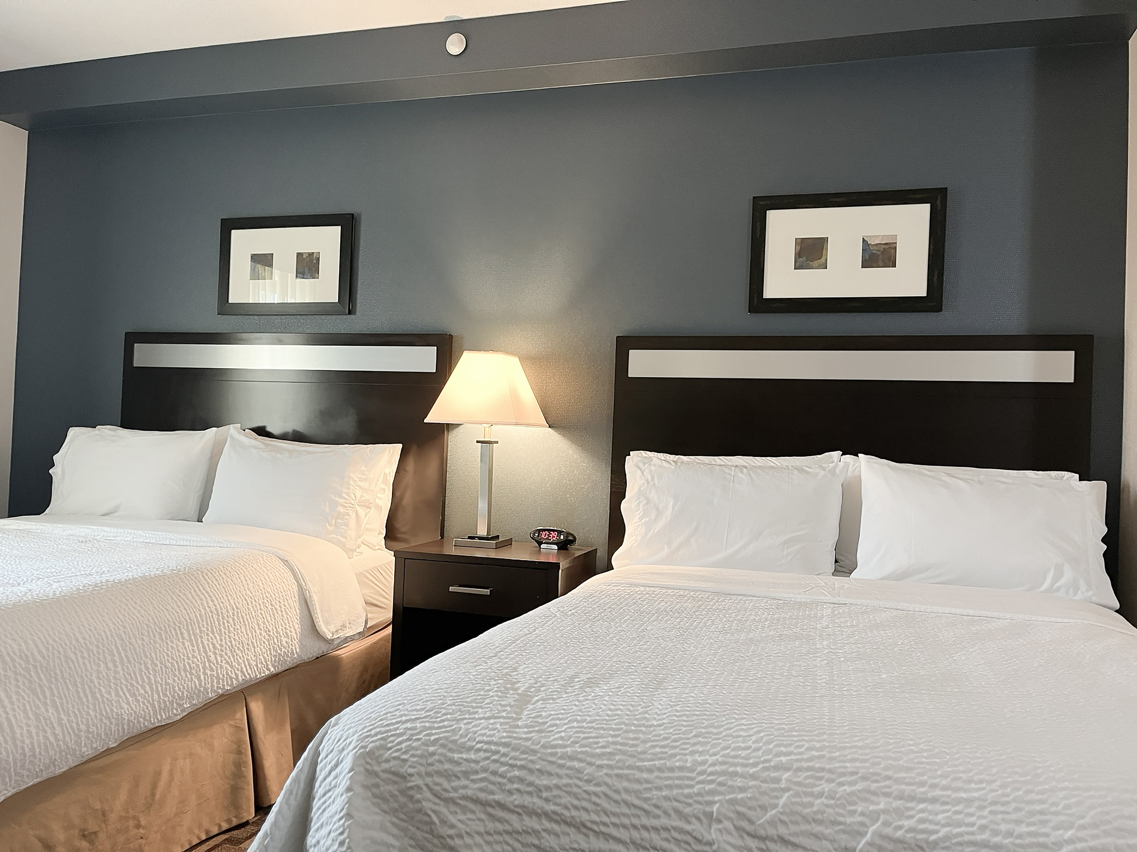 Holiday Inn Express Hotel And Suites Morton Peoria Area 20/70