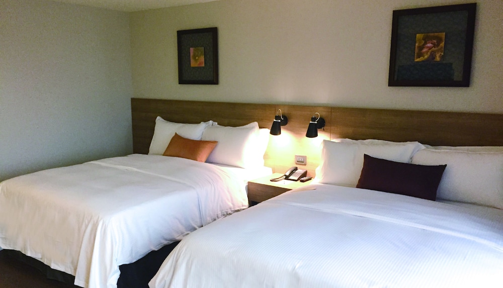 Just Sleep Kaohsiung Zhongzheng Hotel 17/61