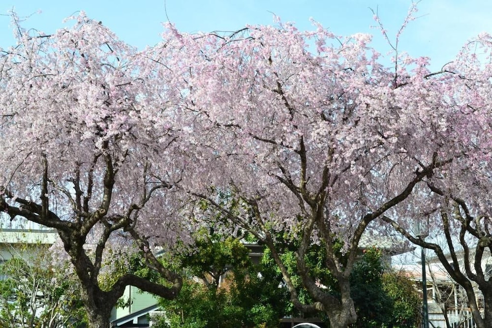 NARA PARK HOTEL 47/50