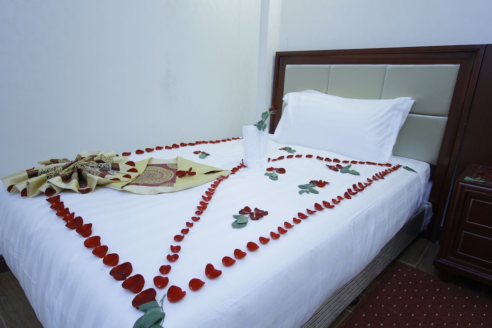 Gzara Hotel Addis 16/39