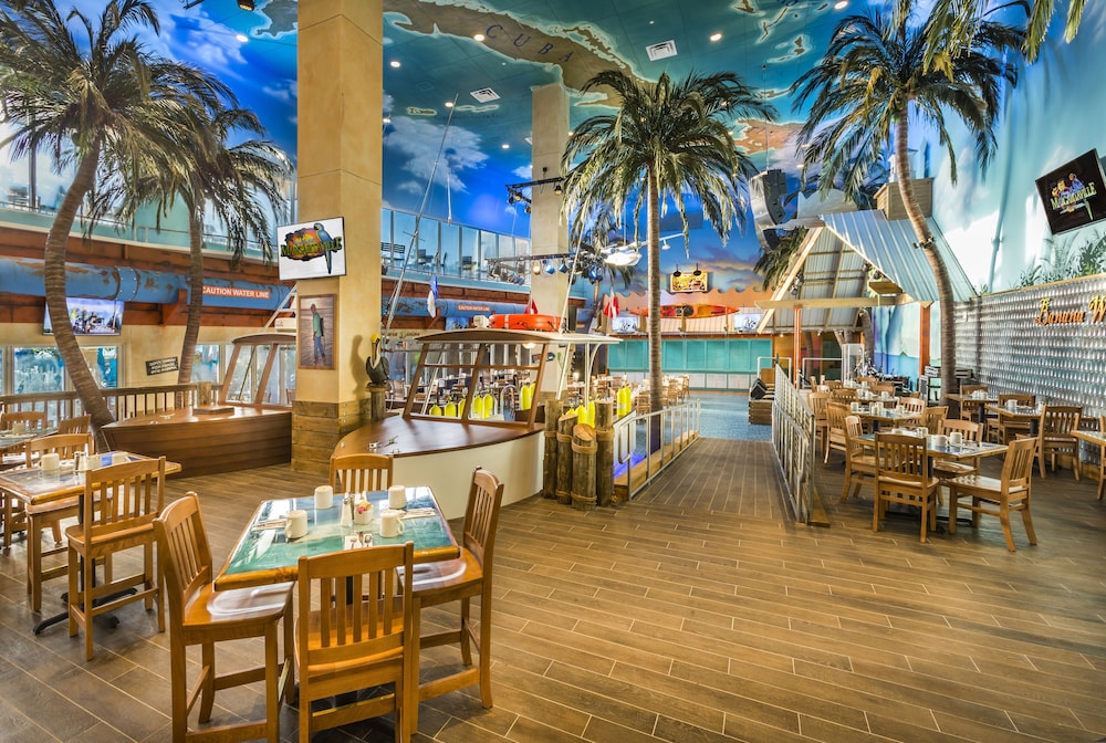 Margaritaville Hollywood Beach Resort 51/68