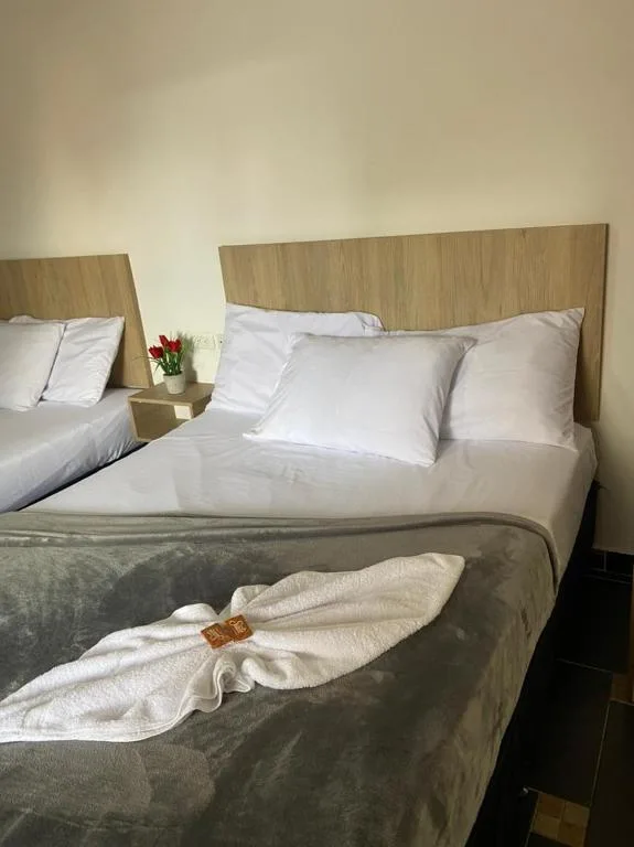 Molicie Hotel 15/46