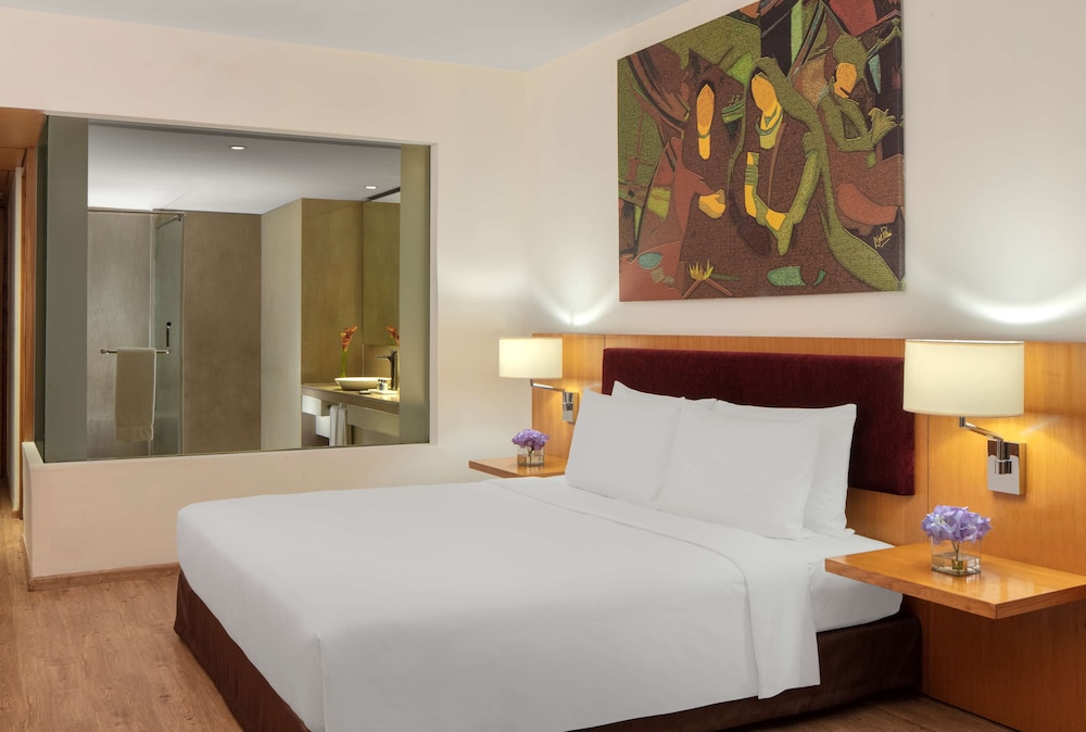 Radisson Blu Plaza Hotel Hyderabad Banjara Hills 23/73