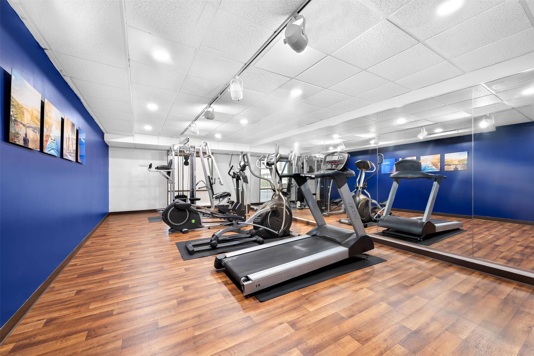 Comfort Suites CS-SU Cullman I-65 Exit 310 24/33