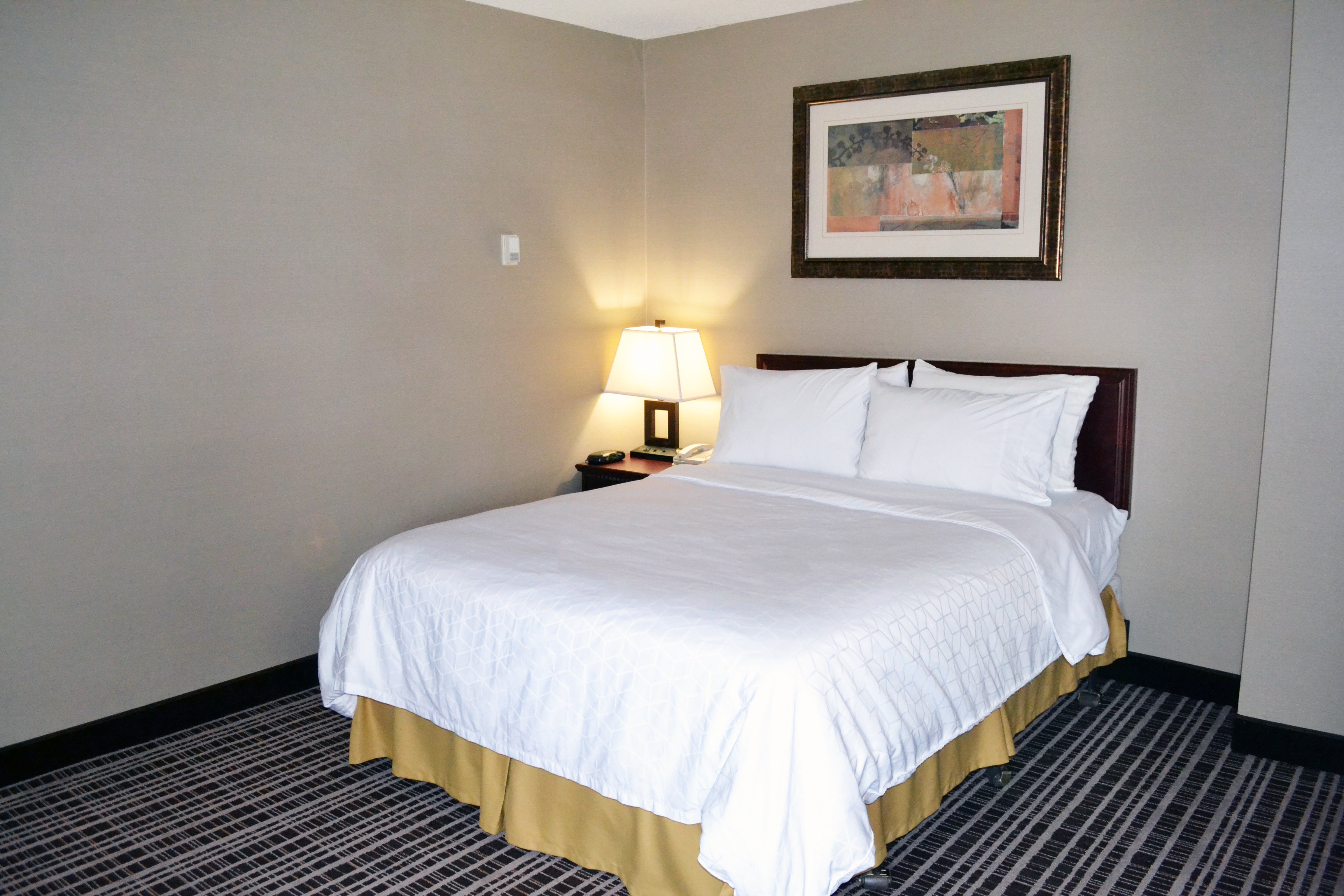 HOLIDAY INN EXPRESS RED DEER 12/68