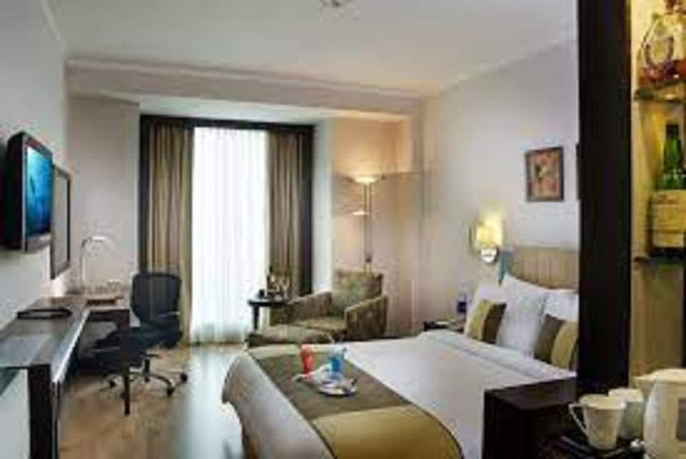 Goldfinch Hotel Delhi NCR 25/63