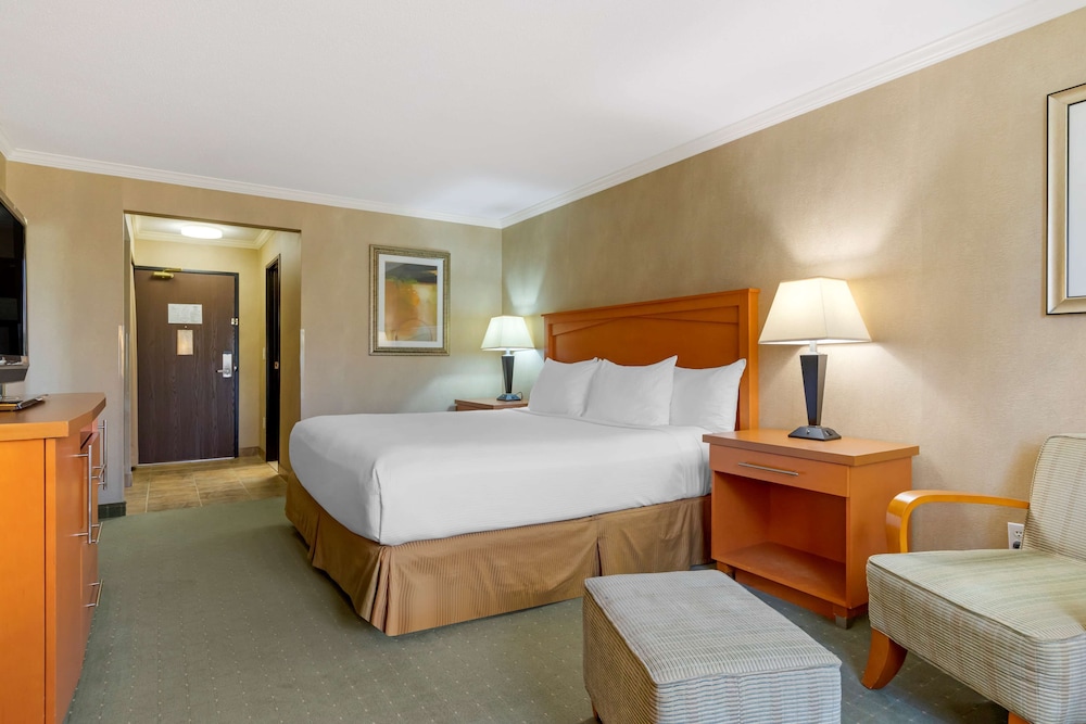 غرفة قياسية بسرير كينج، Best Western Davison Inn 9/10
