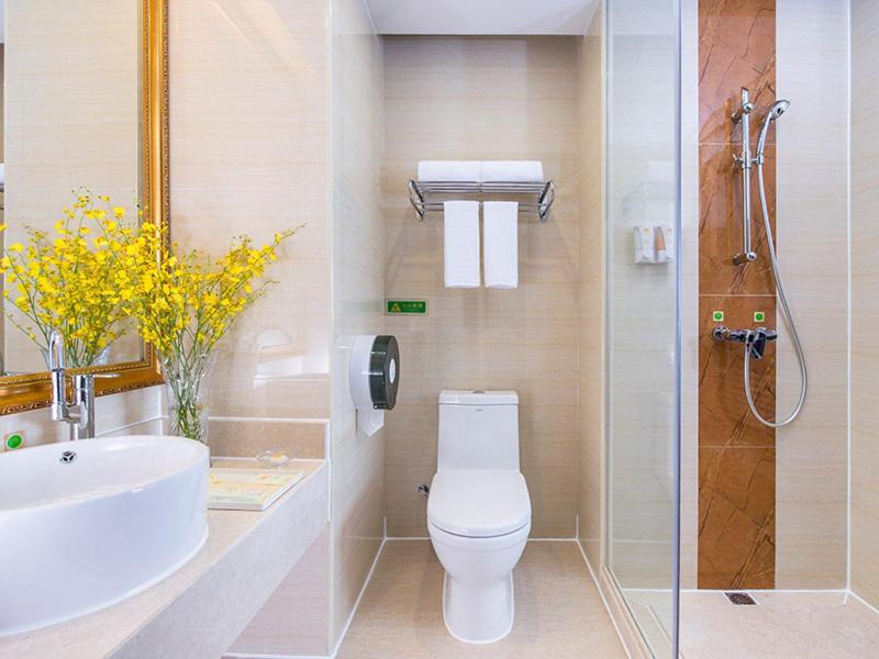 Vienna Hotel (Shenzhen Shiyan Shilong Community) 49/49
