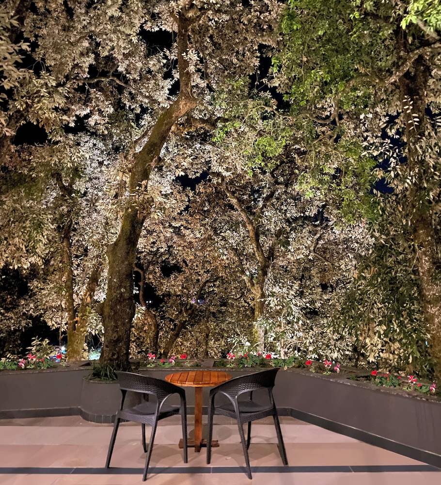The Rosefinch Sarovar Portico 13/40