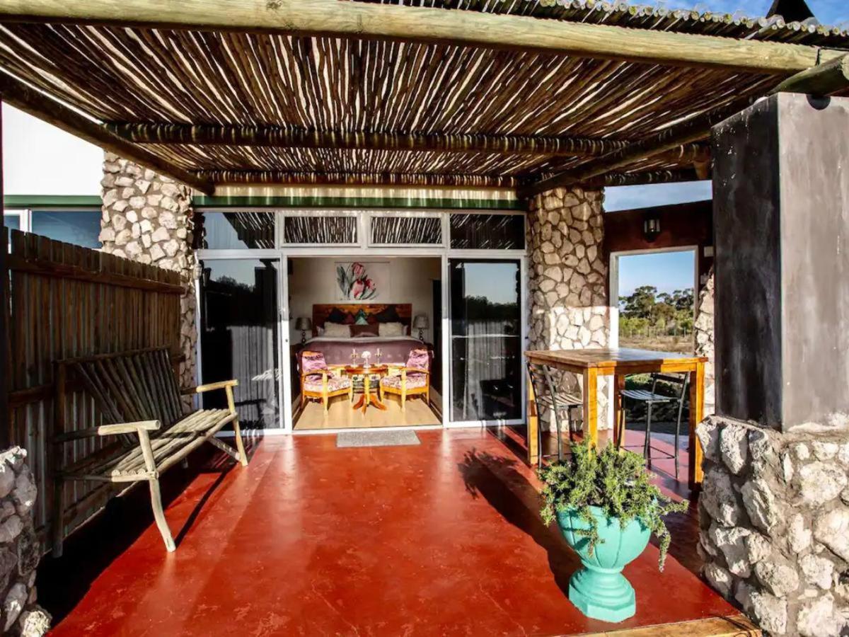 A Touch of Bushveld by the Sea 2/22
