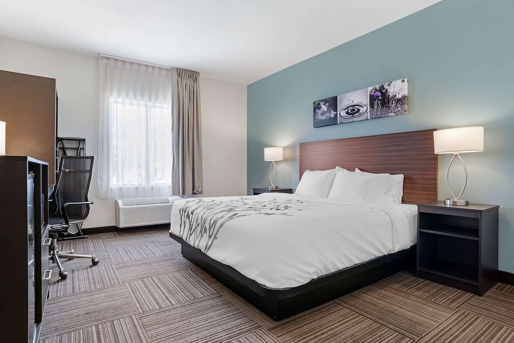 ROOM, KING BED, ACCESSIBLE