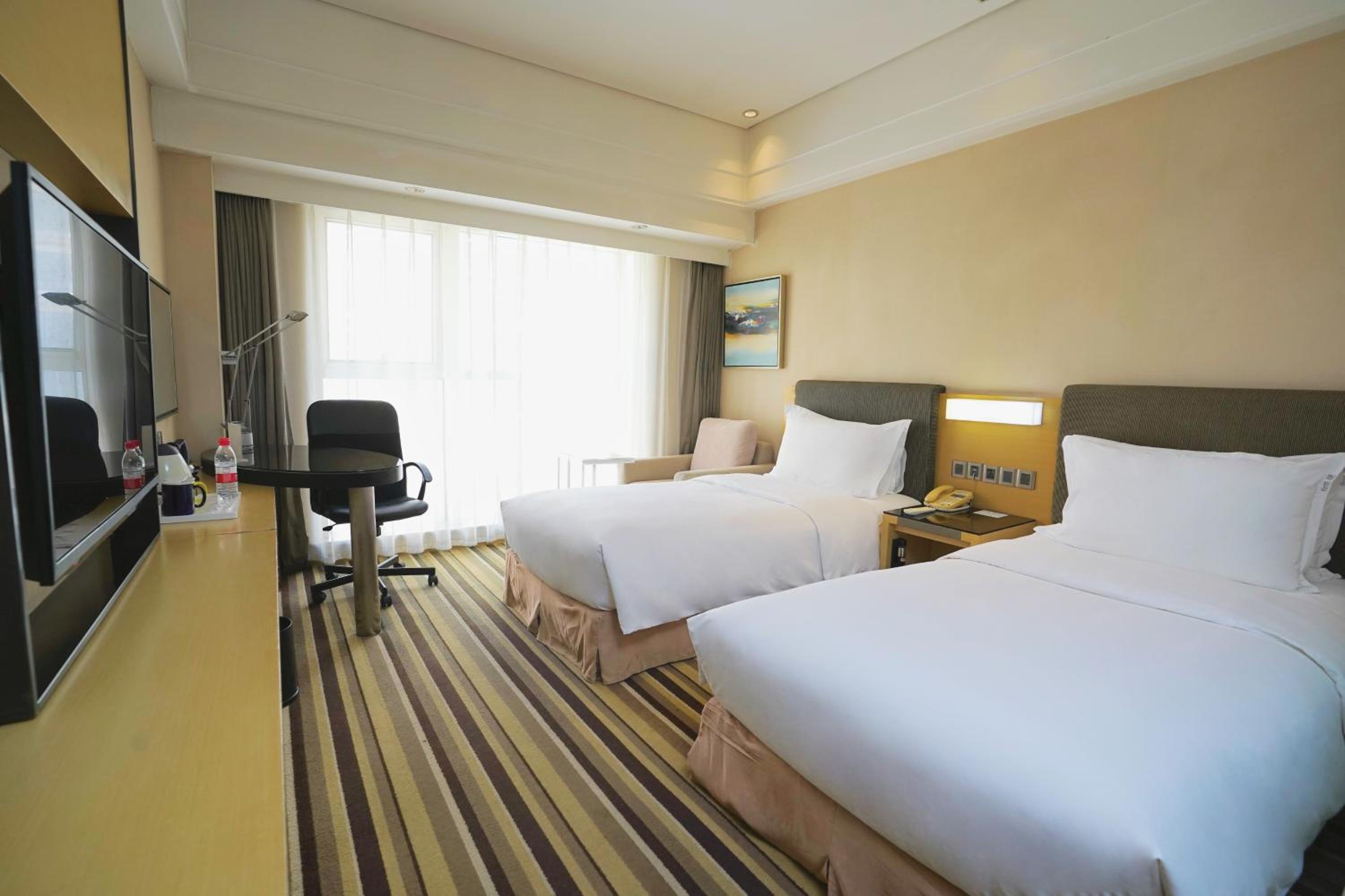 Standard, Single Bed, Atrium View