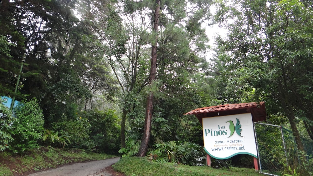 Cabana Los Pinos Hotel 37/42