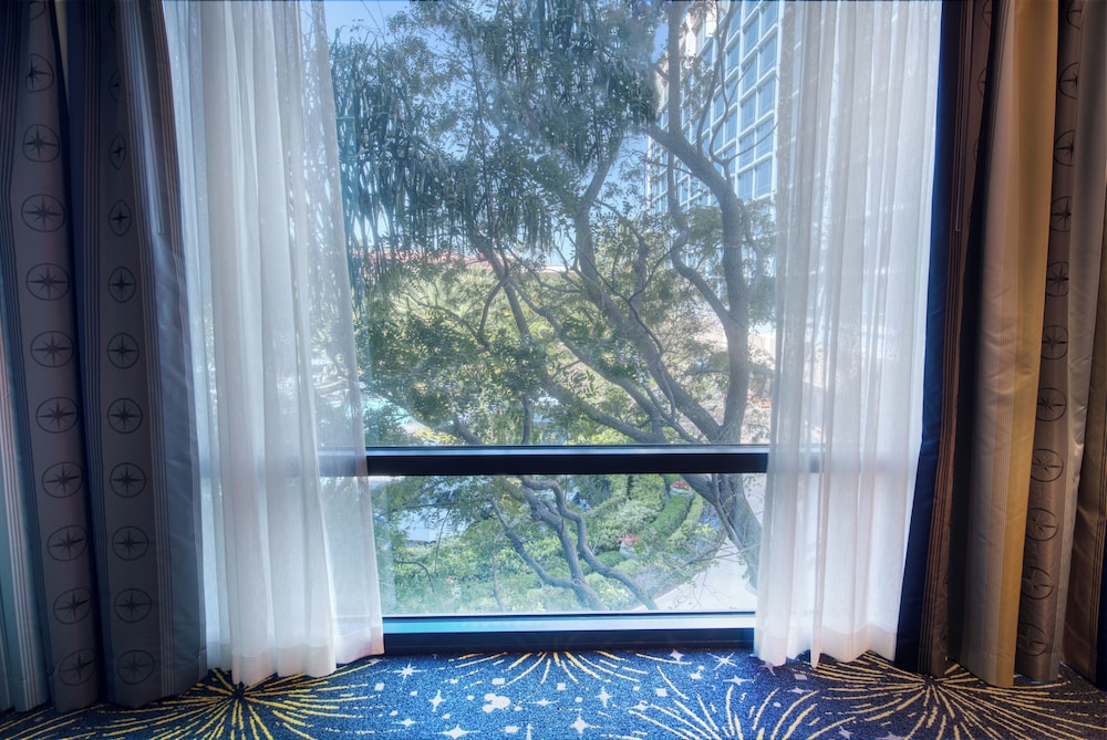 Disneyland Hotel 44/70