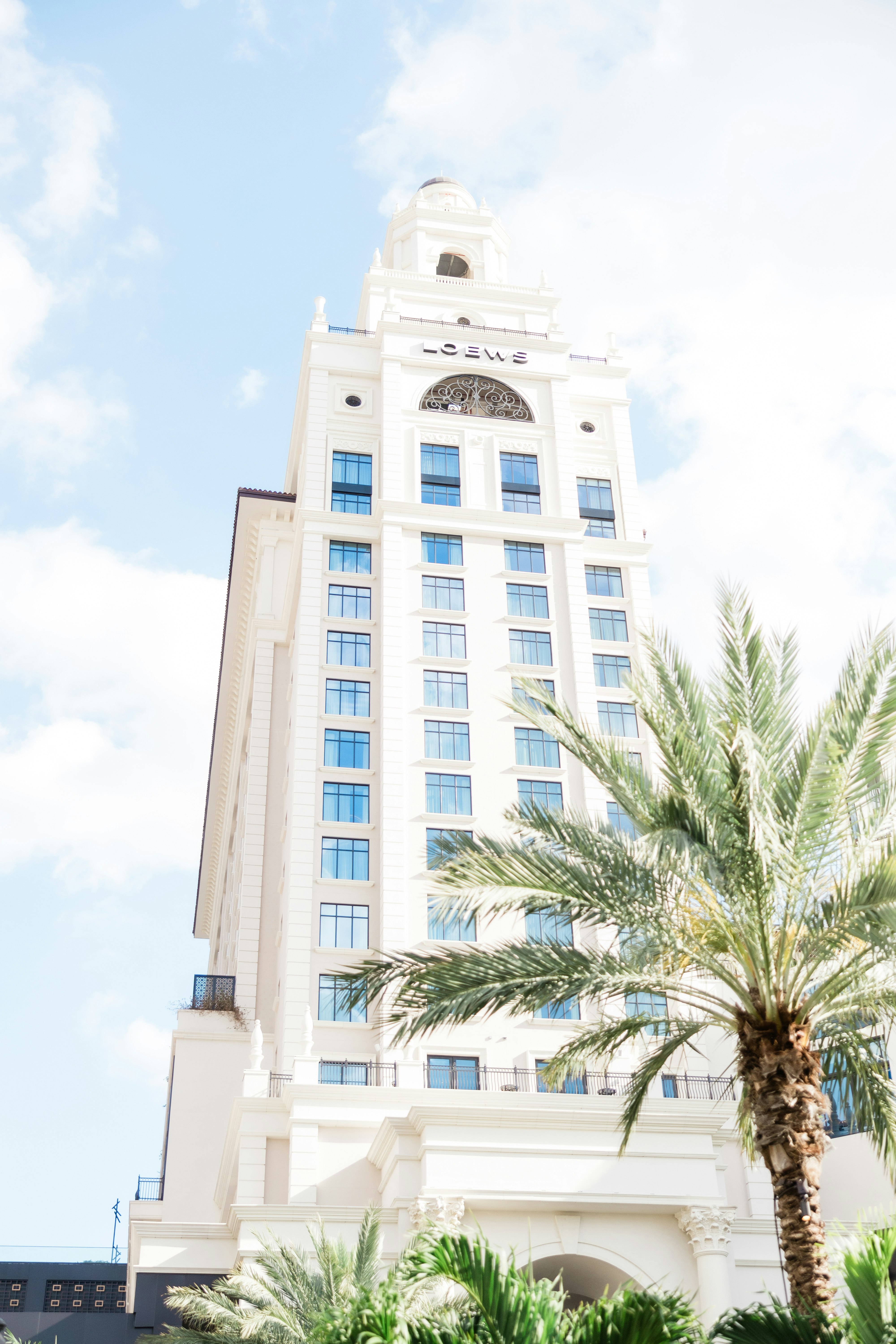 Loews Coral Gables Hotel 3/50