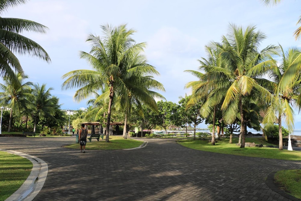 Mahana Lodge Hostel & Backpacker 60/69