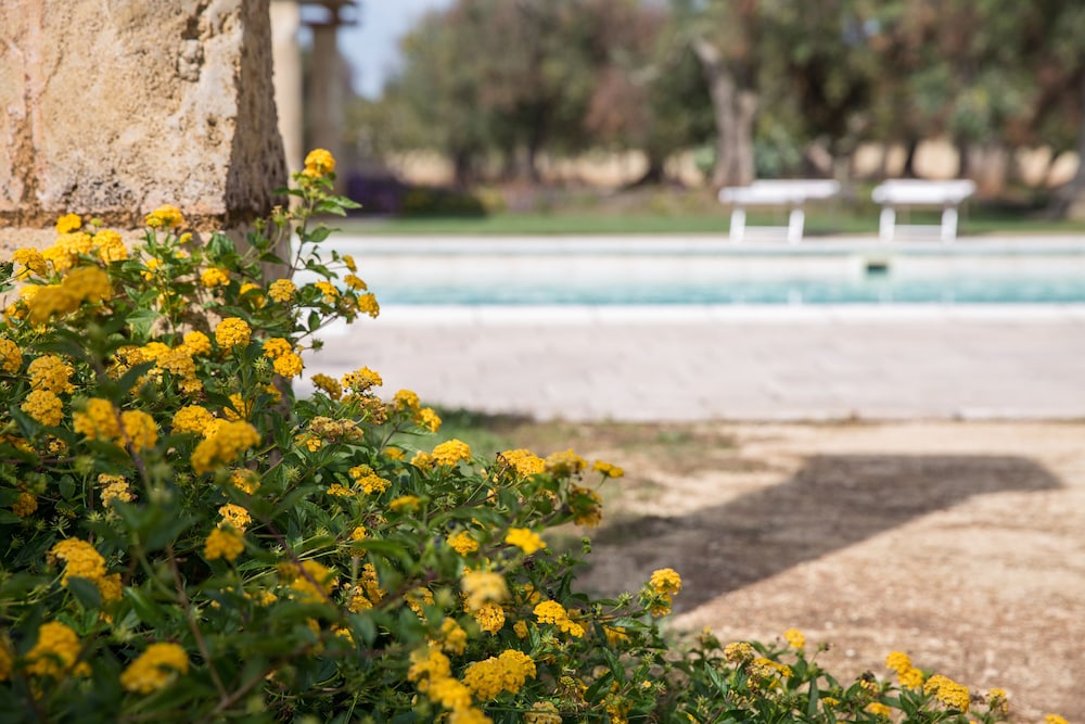 Masseria Saietti 25/50