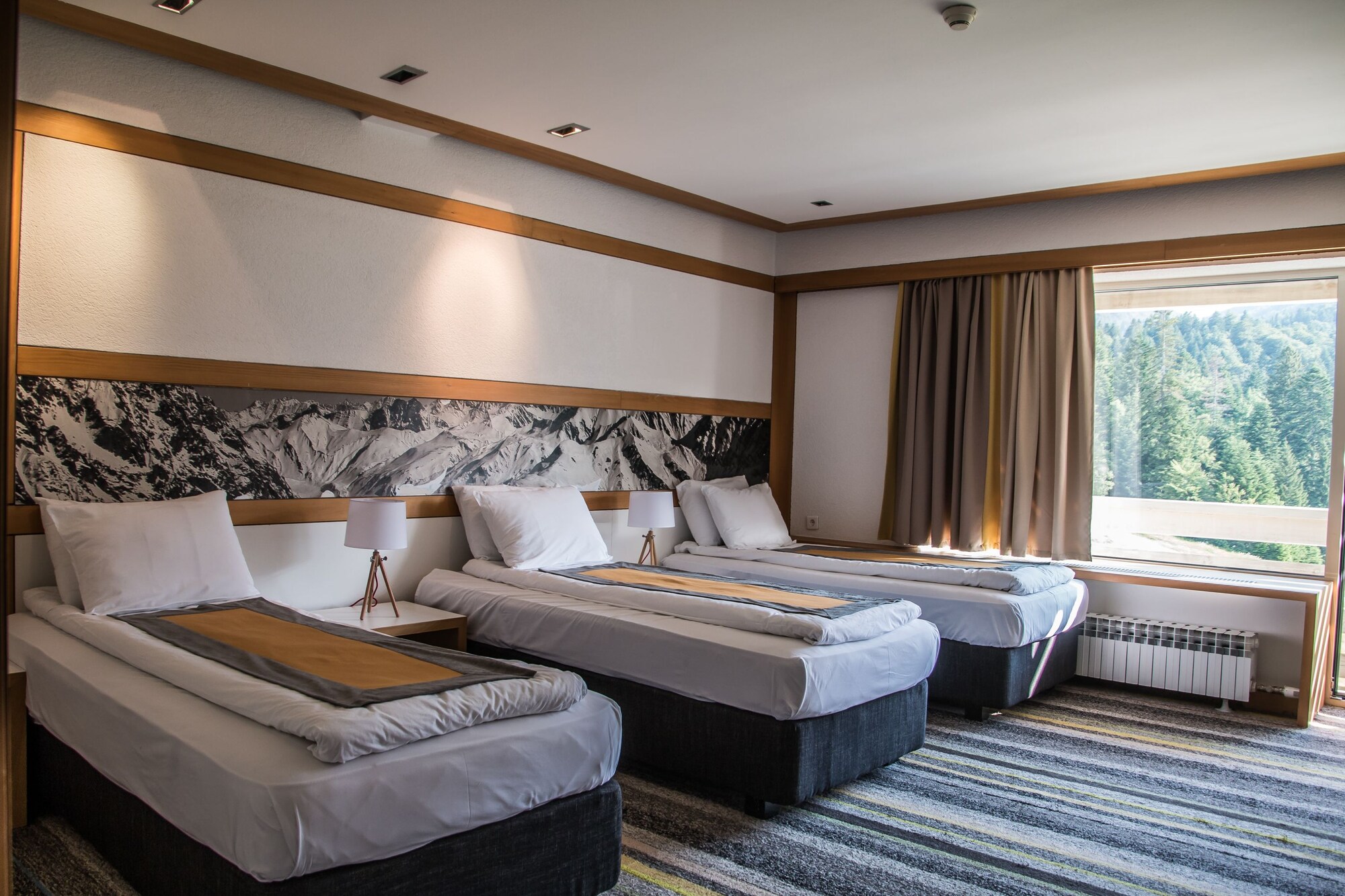 ROOM, TRIPLE, MOUNTAIN VIEW
