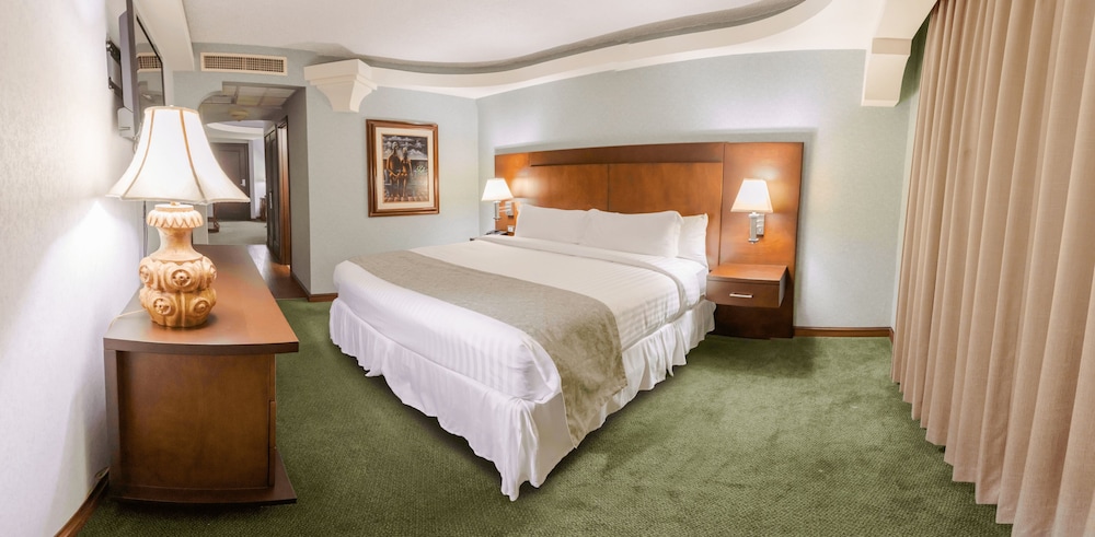 Plaza San Martin Hotel 7/69