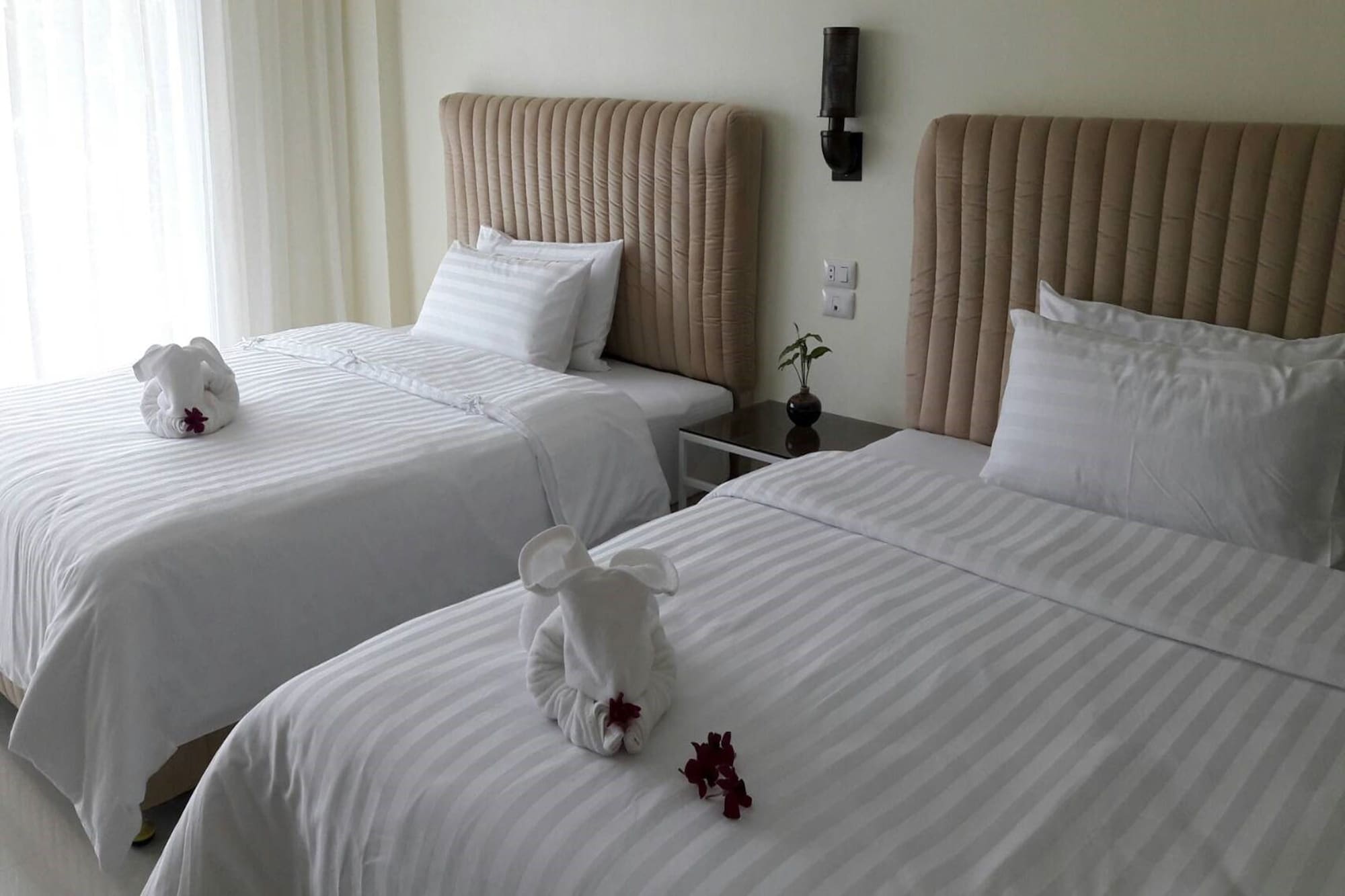 STANDARD, TWIN BEDS