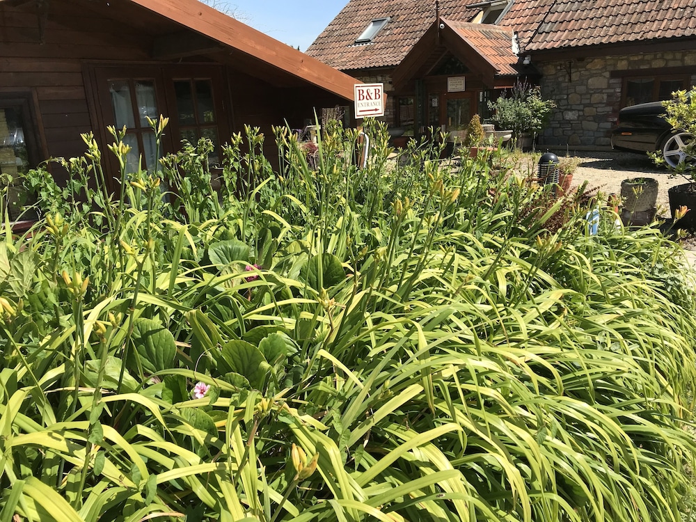 Bridge Farm Guesthouse 35/50