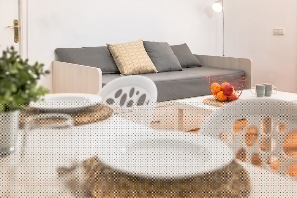 Rv Hotels Apartamentos Benelux 31/64