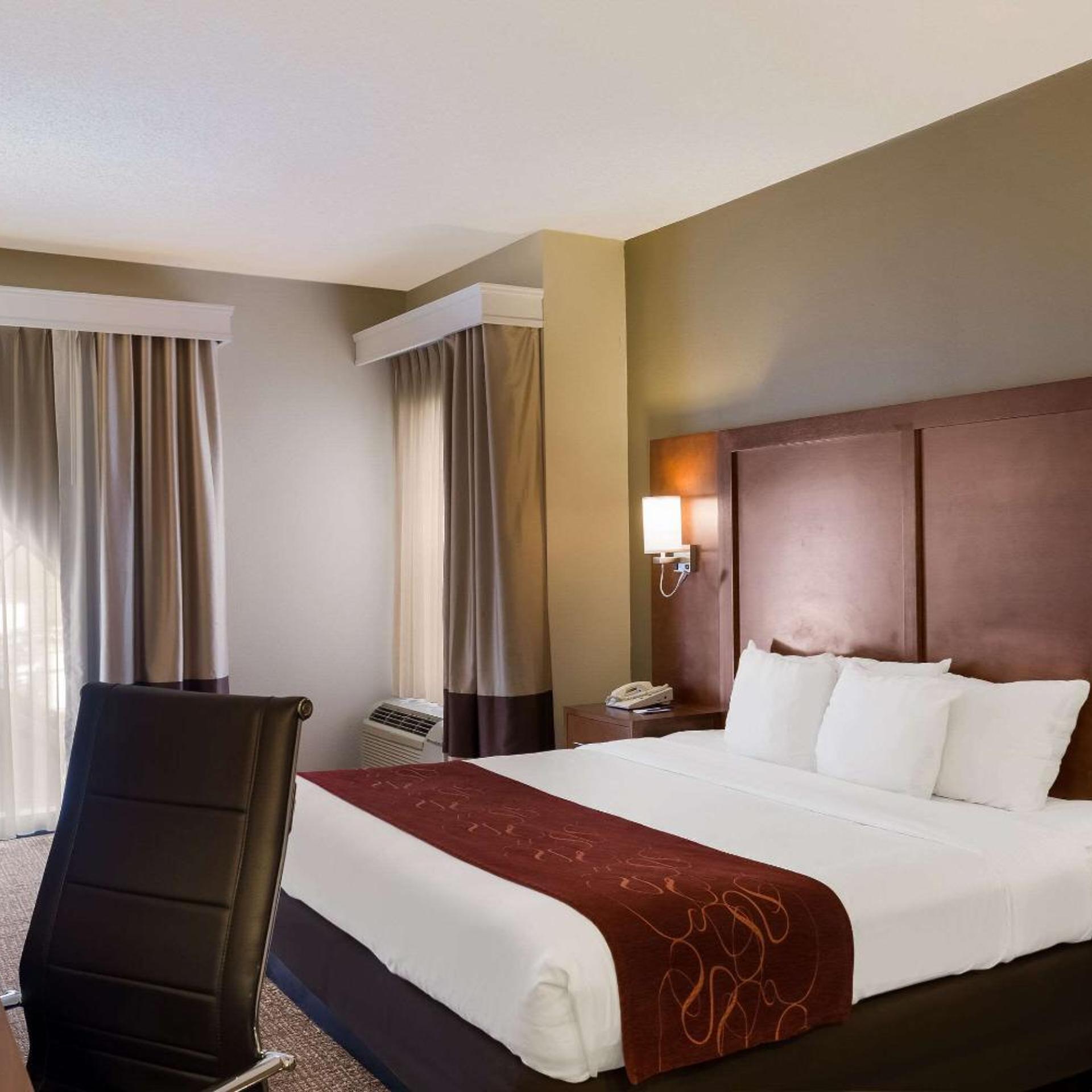 Room, King Bed