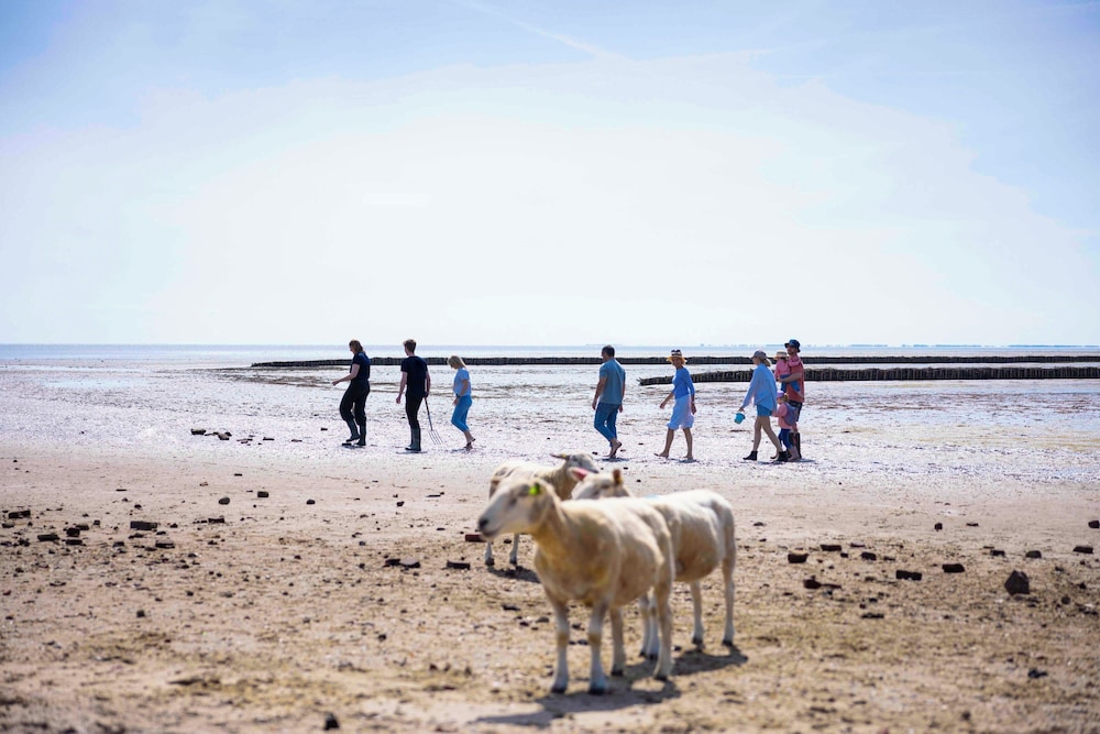 TUI BLUE Sylt 45/51