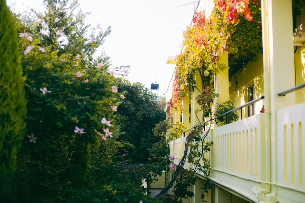 Kalithea Apartments Crete 2/24