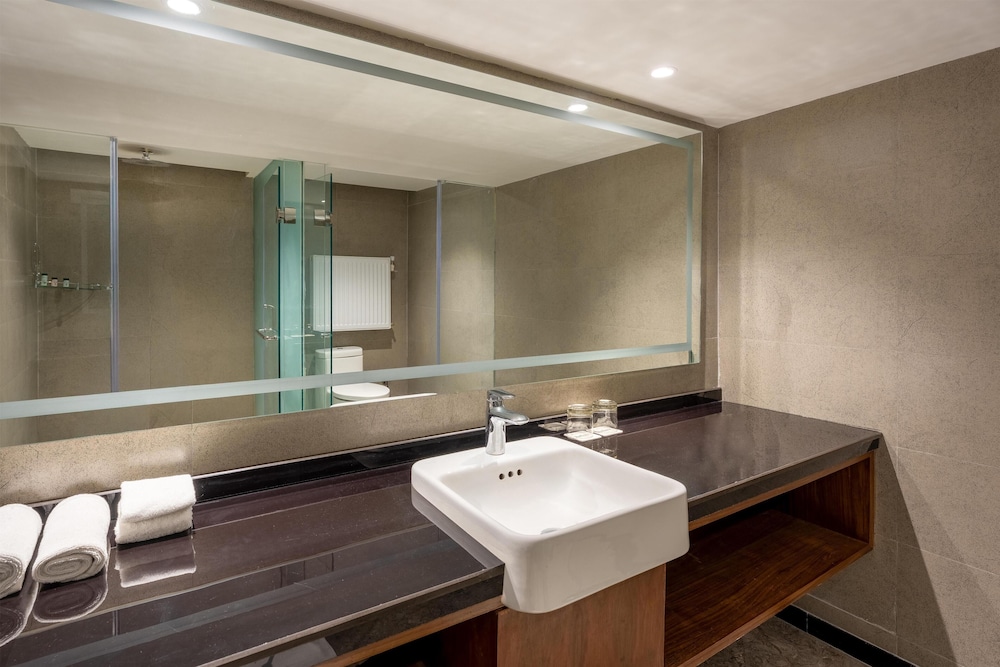 Radisson Sonamarg 35/36