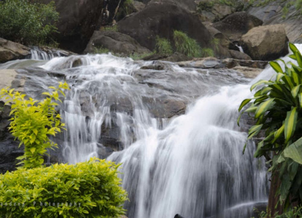 Nature Zone Resort 30/42