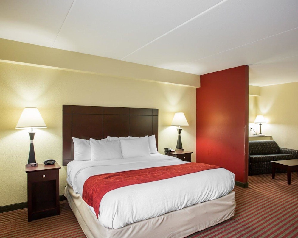 Comfort Suites Mount Juliet 17/57