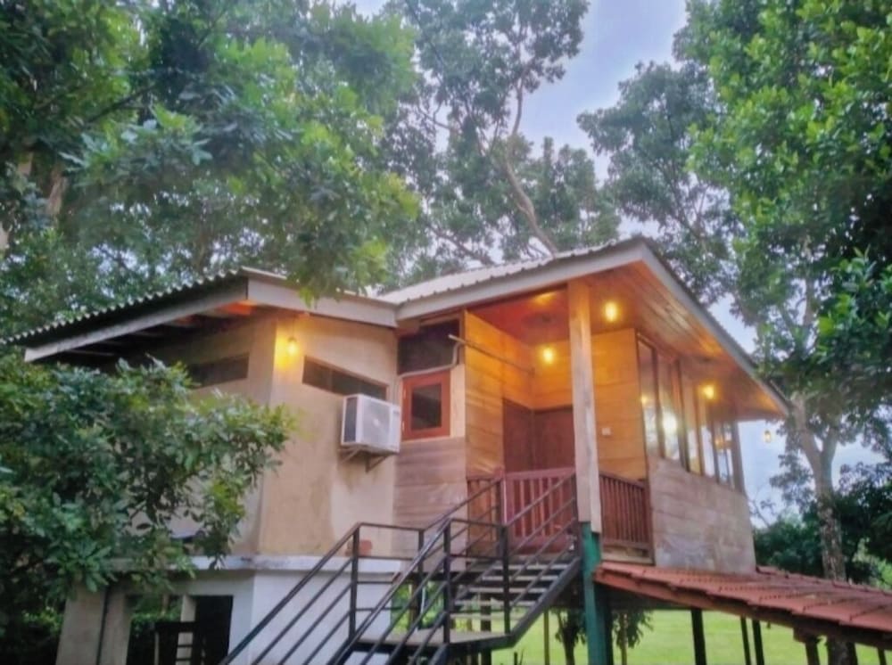 Green Herbal Ayurvedic Eco-Lodge 1/54