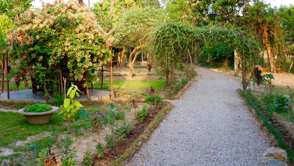 River View Jungle Camp 41/50