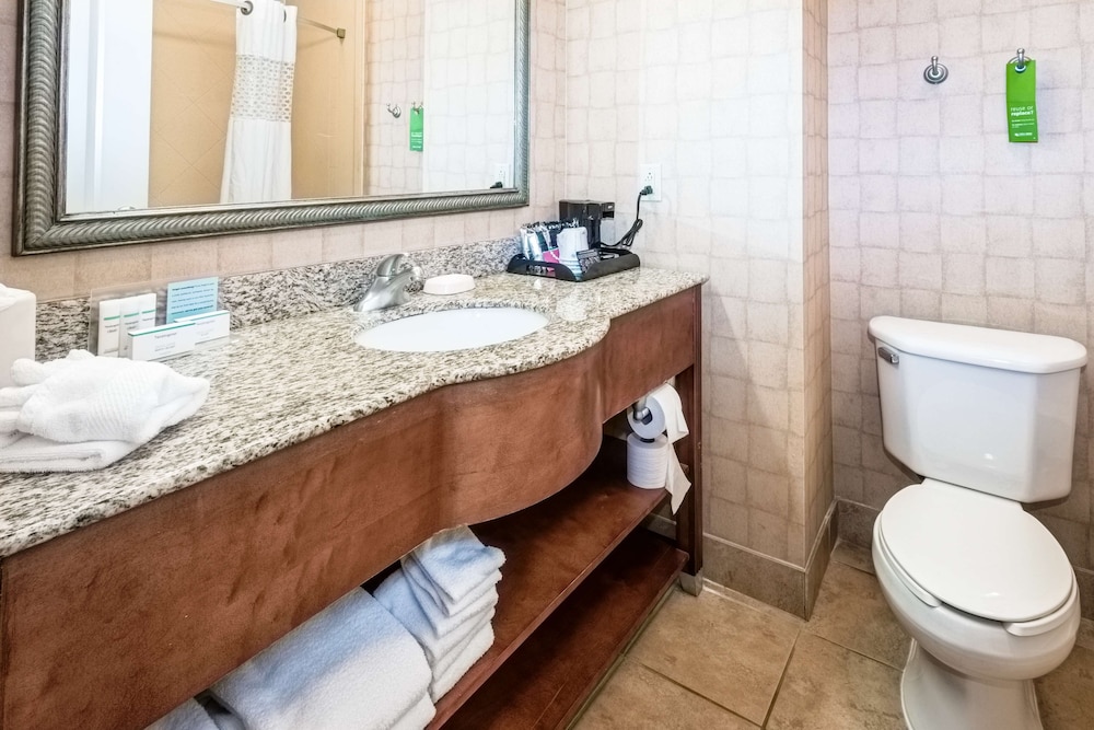 Hampton Inn Montgomery-South-Airport 18/53