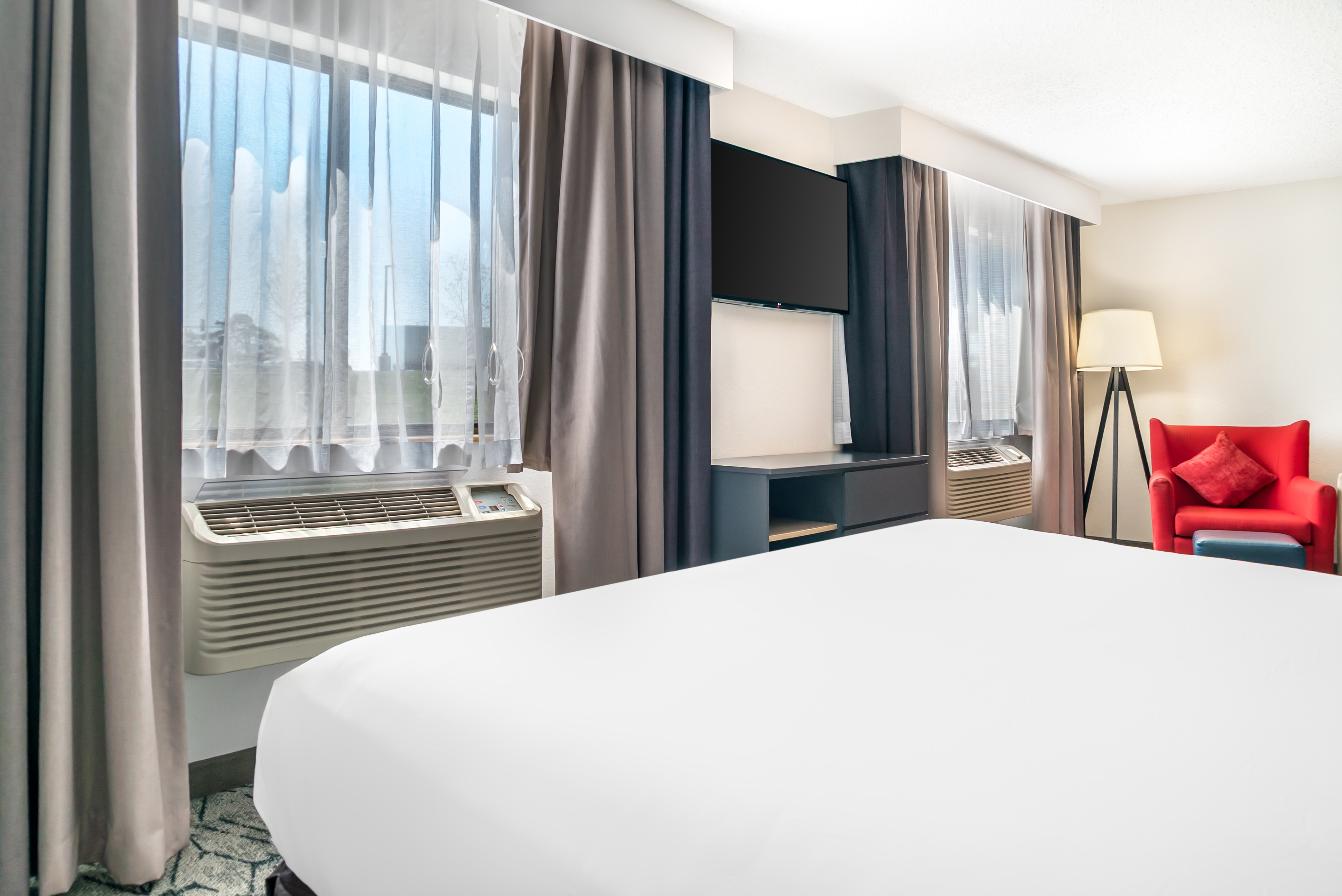 Suite, King Bed