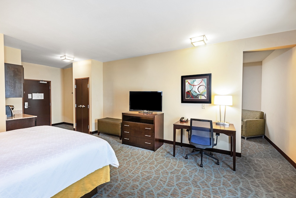 Holiday Inn Express Suites Floresville 17/58