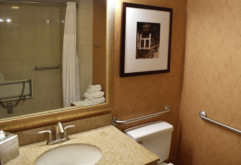 DoubleTree by Hilton Hotel Asheville Biltmore 24/68