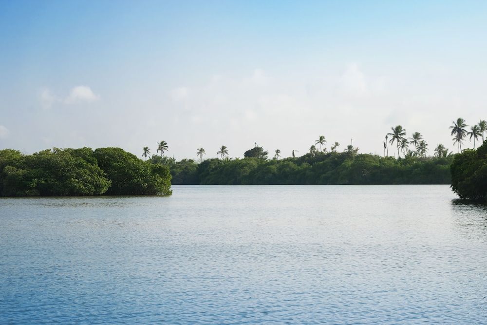Isla Tajin Beach and River Resort 31/54