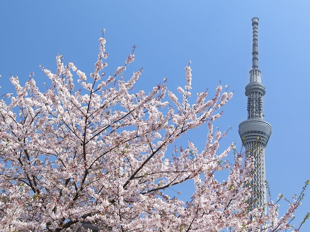 Sakura Sky Hotel 46/50