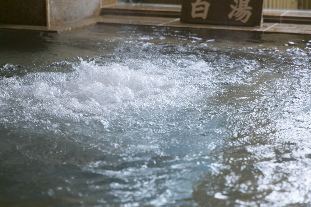 Gifu Grand Hotel 17/50