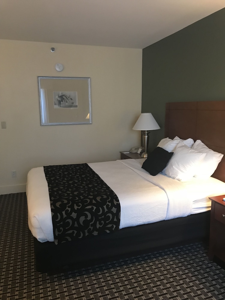 Best Western Plus Brunswick Bath 13/47