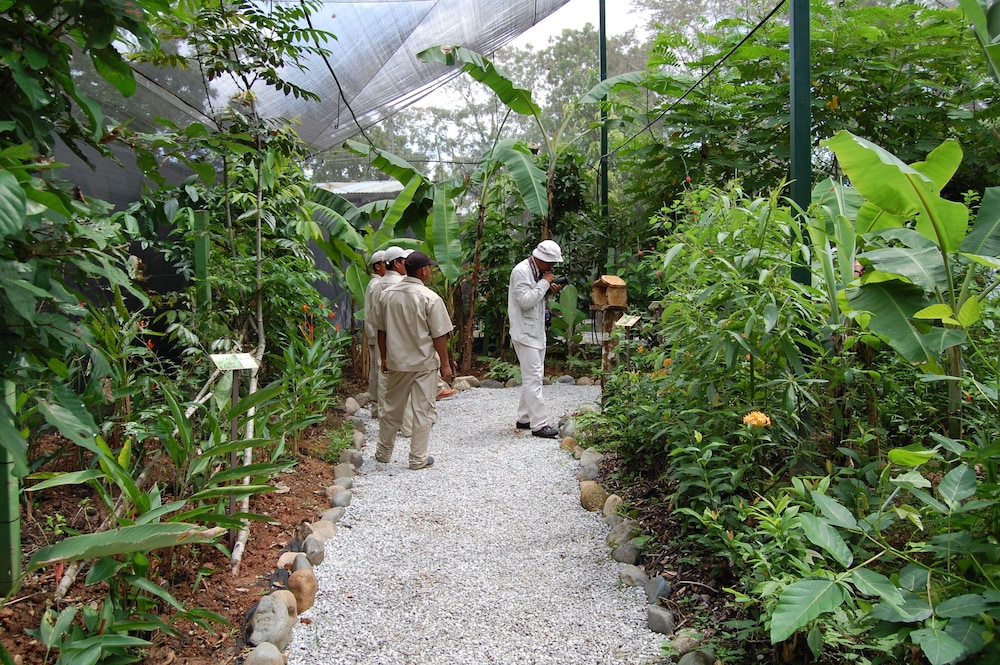 Gamboa Rainforest Reserve Hotel 36/67