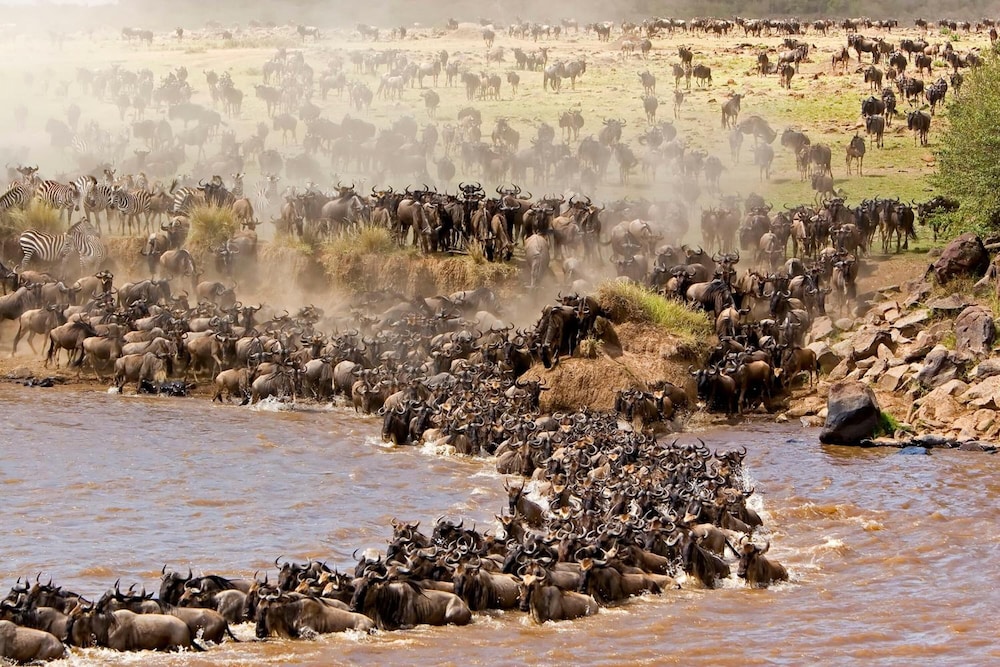 Mara Intrepids Tented Camp 28/49