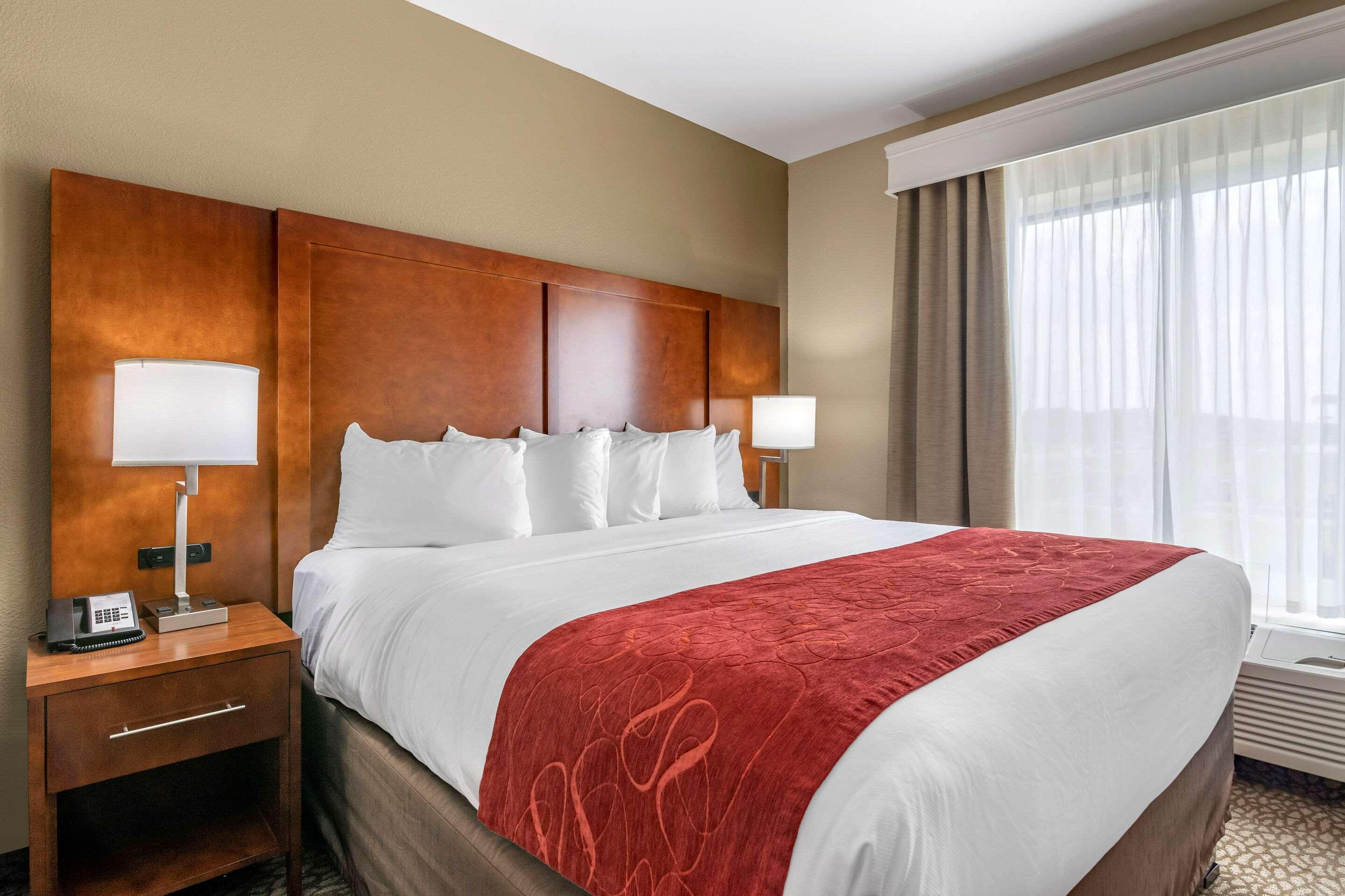 SUITE, KING BED