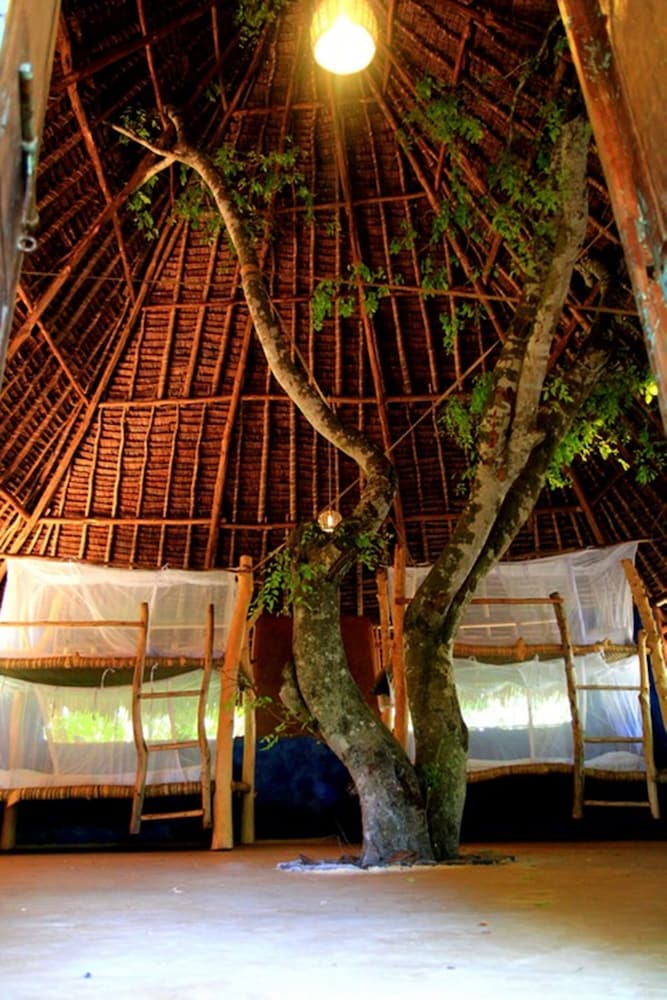 DISTANT RELATIVES ECOLODGE & BACKPACKERS 46/50