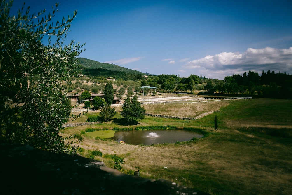 Fattoria Degli Usignoli 43/56