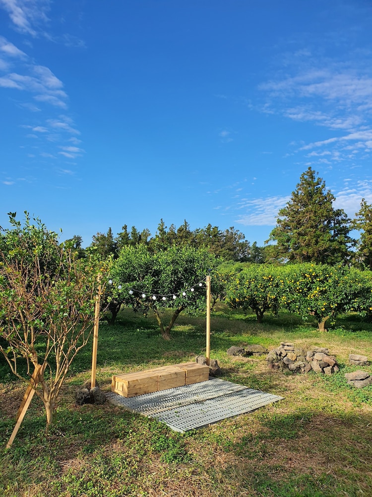 Jeju Meomuri 27/50