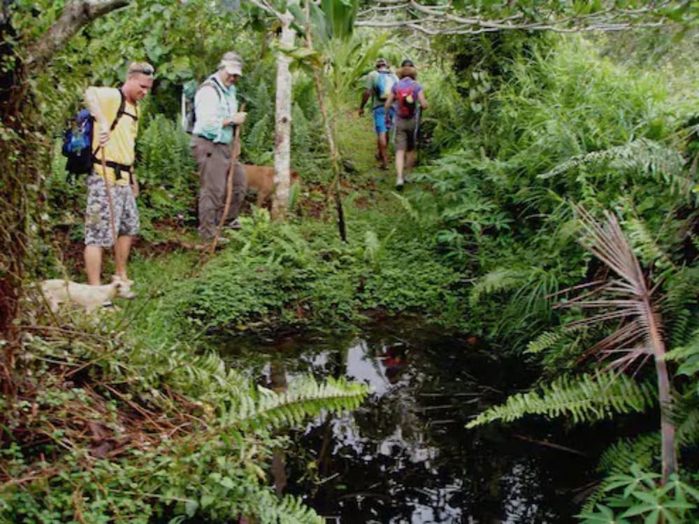 Taveuni Island Resort And Spa 42/50